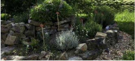 Naturgarten1