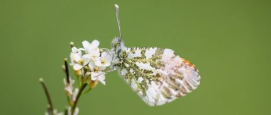 110423 50d0 IMG 69516 ausschnitt-49b23776